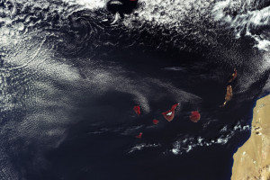 NBA联盟官方通告,解读背后深意,看懂中国球迷的期待