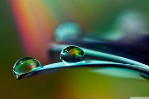 谁是新王手游冠军杯,等待着新一代传奇的诞生!