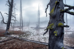 传奇谢幕与新生！棒球世界冠军榜，时代的交替